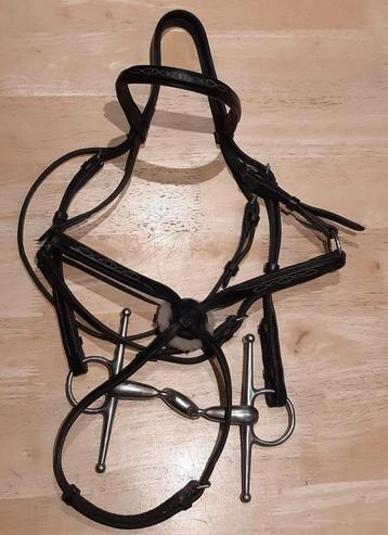 Bridon mexicain noir Fouganza cheval et frontal beschikbaar voor biedingen