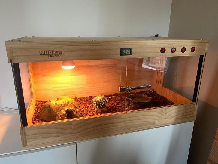 Terrarium en bois avec éclairage pour reptiles, Dieren en Toebehoren, Reptielen en Amfibieën | Toebehoren, Gebruikt, Terrarium of Paludarium