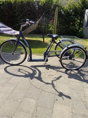 Driewieler voor volwassenen met versnellingen, Ophalen, Gebruikt