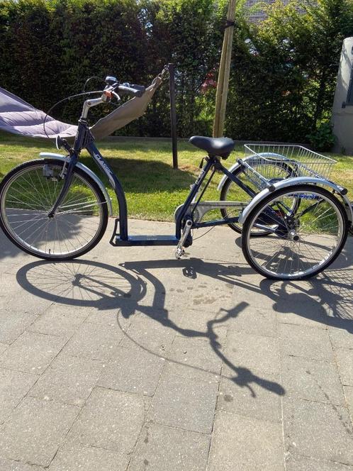 Driewieler voor volwassenen met versnellingen, Fietsen en Brommers, Fietsen | Driewielfietsen, Gebruikt, Ophalen