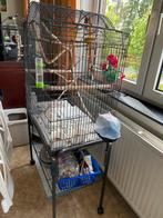 Vogelkooi voor kanarie of parkieten, Ophalen, Vogelkooi