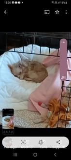 2 très  belles cages à vendre noir neuves, Animaux & Accessoires, Accessoires pour chats, Enlèvement