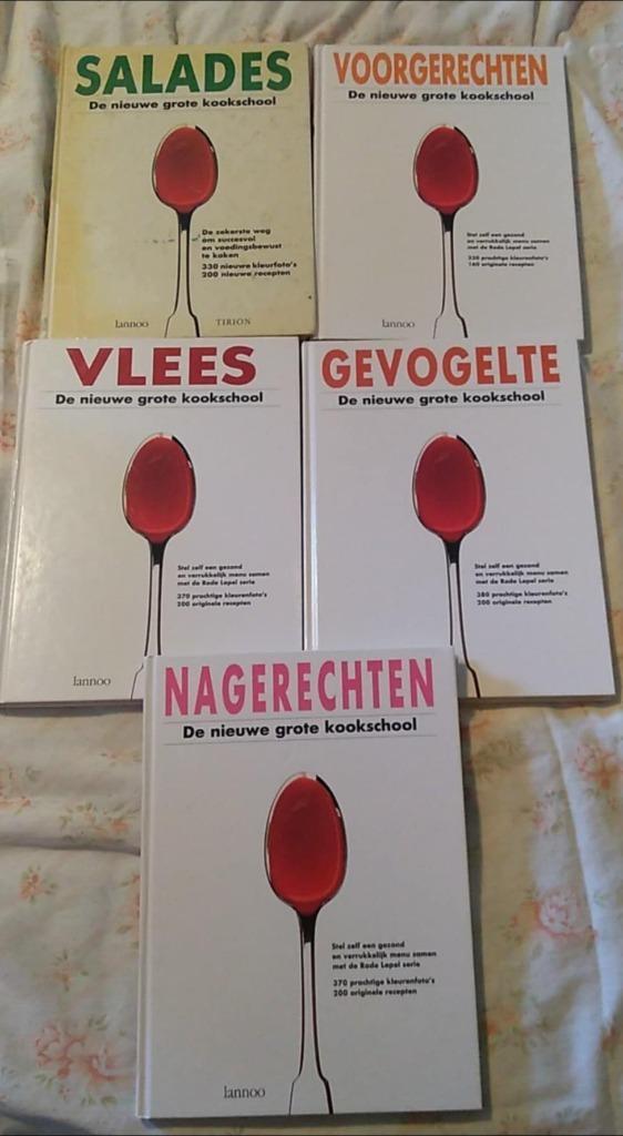 de nieuwe grote kookschool, Boeken, Kookboeken, Ophalen of Verzenden