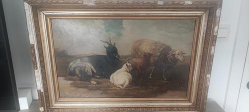 Oud olieverf schilderij op paneel Schapen/geiten, Antiek en Kunst, Kunst | Schilderijen | Modern, Ophalen of Verzenden