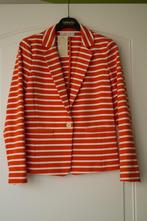 Vest, merk Michael Kors, NIEUW, maat S, Verzenden, Nieuw, Jasje, Maat 36 (S)