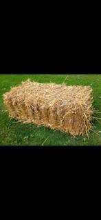 Kleine botten stro  / petit ballon de paille, Dieren en Toebehoren, Ophalen of Verzenden
