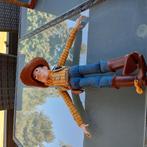 Toy Story, Ophalen