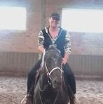 Recherche Mi penssion sur bel hongre de 10 ANS, Hongre, Moins de 160 cm, Cheval western, Ne s'applique pas