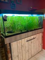 Aquarium juwel, Dieren en Toebehoren, Ophalen, Gebruikt