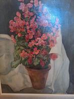 Jan van Keulen Begonia's in pot Olieverf op doek, Antiek en Kunst, Ophalen