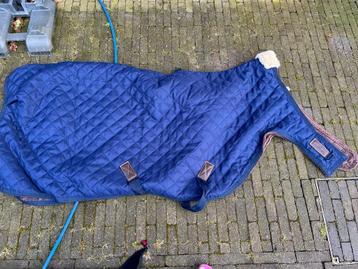 Kentucky -stapmolen-uitstapdeken-maat 195/145 beschikbaar voor biedingen