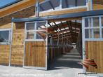 Paardenstal en Buitenbox - Schuilplaats en Paardenbox, Weidegang