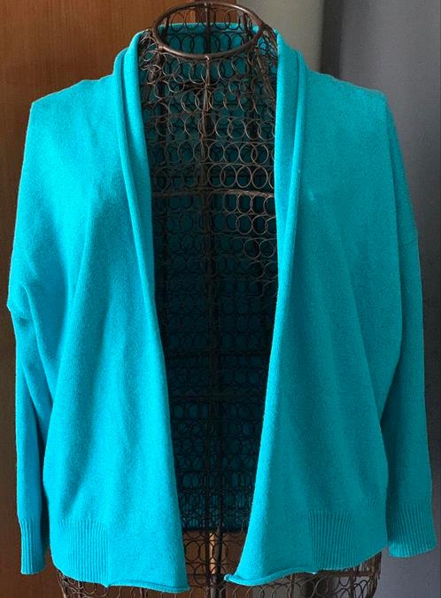 NIEUW Caroline Biss 42 Topper gilet, Kleding | Dames, Truien en Vesten, Nieuw, Maat 42/44 (L), Blauw, Ophalen of Verzenden