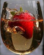 Kefir Champagne Waterkefir verse probiotica kefir korrels, Ophalen