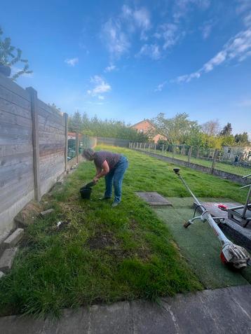 Jardinier  beschikbaar voor biedingen