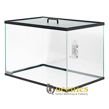 Terrarium zonder Schuifruiten – 80x40x40 cm Glazen Model