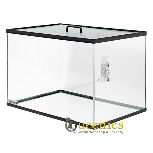 Terrarium zonder Schuifruiten – 80x40x40 cm Glazen Model, Dieren en Toebehoren, Knaagdieren en Konijnen | Hokken en Kooien, Nieuw
