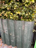 Dakplaten, Ophalen, Zo goed als nieuw