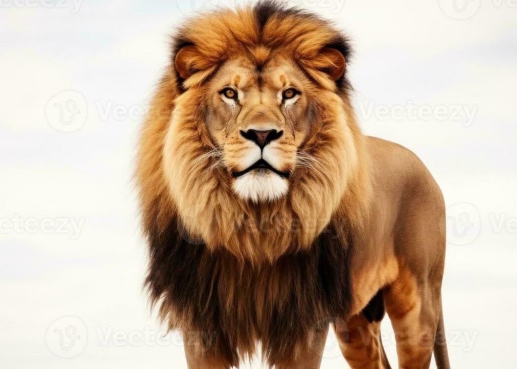 Sérieux cherche sérieuse