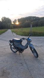 Honda wallaroo, Enlèvement