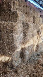 Stro, Dieren en Toebehoren, Ophalen