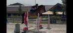 D pony 6 jaar, Dieren en Toebehoren, Paarden