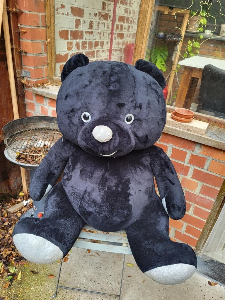 Grand ours en peluche, Enlèvement