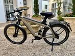 Riese & Müller Supercharger SC53 RE14 – speedpedelec, Fietsen en Brommers, Elektrische fietsen, Ophalen, Zo goed als nieuw, Riese & Müller