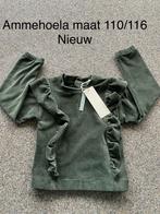 Nieuw truitje ammehoela maat 110/116, Ophalen