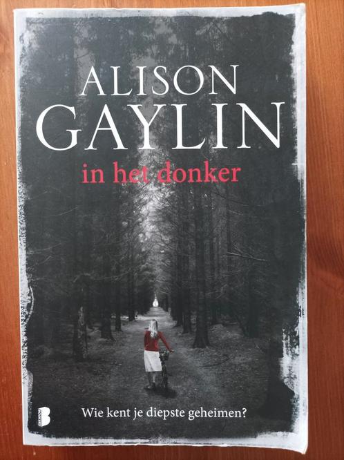 Alison Gaylin - In het donker, Boeken, Thrillers, Zo goed als nieuw, Ophalen of Verzenden