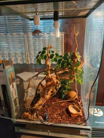 Terrarium avec lampes et accessoires., Enlèvement, Comme neuf