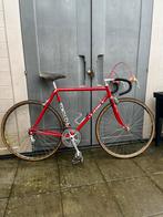 Lejeune daf trucks teamfiets 1979, Fietsen en Brommers, Fietsen | Oldtimers, 51 tot 55 cm, Ophalen, Lejeune, Jaren '60 of nieuwer