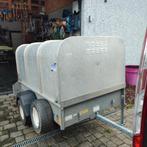 Bétaillère ifor williams, Animaux & Accessoires, Chevaux & Poneys | Semi-remorques & Remorques, Enlèvement, Utilisé, Aluminium