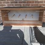 Vogel kweekhok, Dieren en Toebehoren, Vogels | Hokken en Kooien, Ophalen