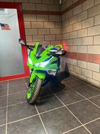 Ninja ZX-4rr 2024, Motoren, Ophalen of Verzenden, Nieuw