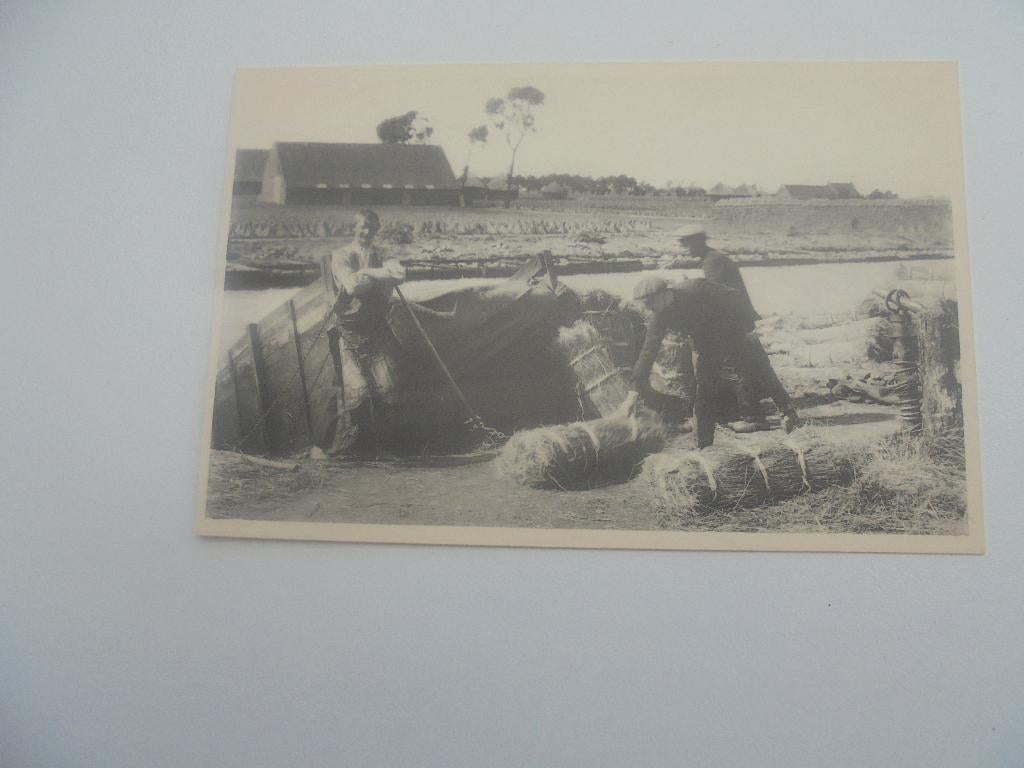 vlasteelt- het roten in de leie, Verzenden, 1920 tot 1940, Ongelopen, West-Vlaanderen