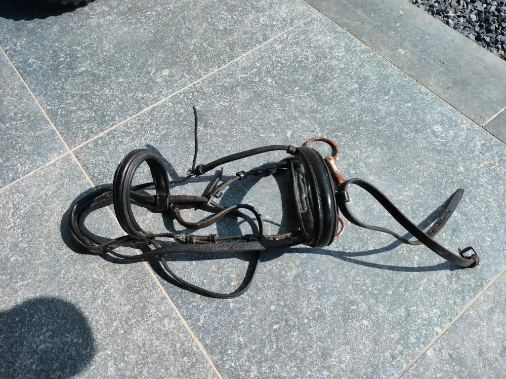 Kopstuk / hoofdstel maat shet, Dieren en Toebehoren, Ophalen, Gebruikt