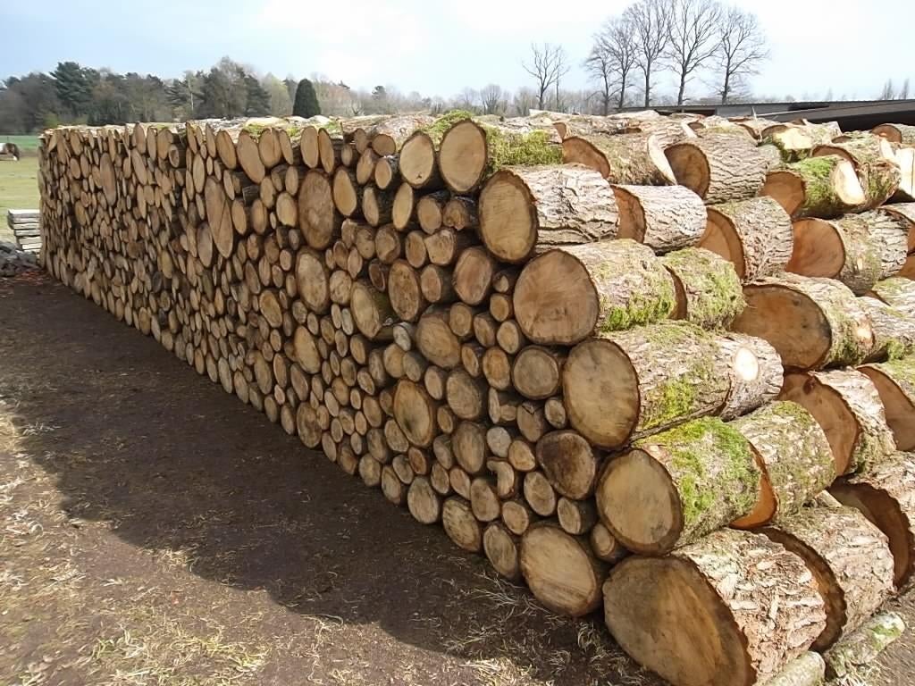 brandhout mol, Enlèvement