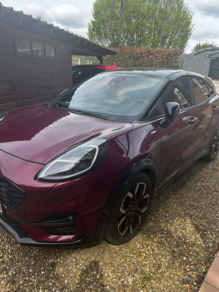 Ford puma vivid ruby edition 1.0i ecoboost, Auto's, Ford, Puma, Overige kleuren, Leder en Stof, Bedrijf