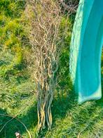 10 paastakken, Enlèvement