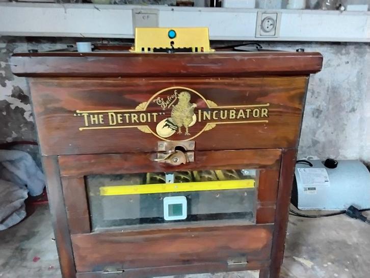 Broedmachine Detroit automatische keerring 42 kippeeieren, Dieren en Toebehoren, Pluimvee | Toebehoren, Broedmachine, Ophalen of Verzenden