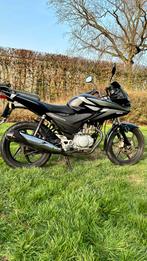 Honda cbf125, Motoren, Ophalen, Honda, Motorrijbewijs A, 125 cc