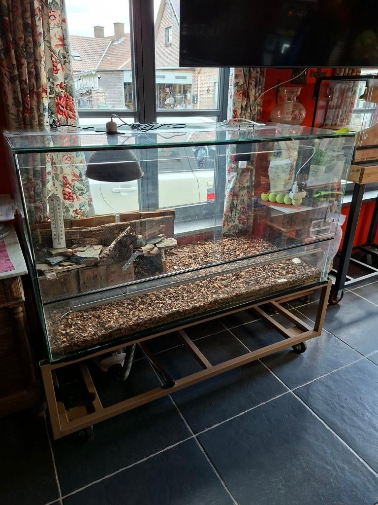 Groot terrarium met metalen voet, Enlèvement, Comme neuf