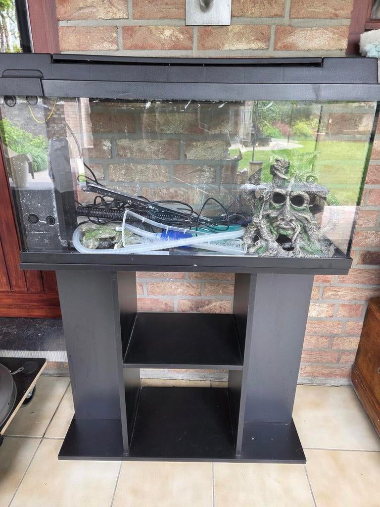 Aquarium, Animaux & Accessoires, Enlèvement