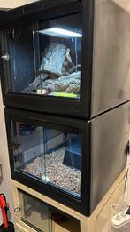 Herptek 60x60x50, Enlèvement, Comme neuf