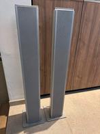 Piega TS-5 luidsprekers, TV, Hi-fi & Vidéo, Enceintes, Enlèvement