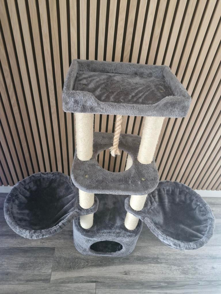 Krabpaal katten, Enlèvement, Griffoir