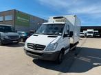 Mercedes-Benz Sprinter 516 (Numéro de stock 51879), Autos, Camionnettes & Utilitaires, Euro 5, Achat, Entreprise, Boîte manuelle