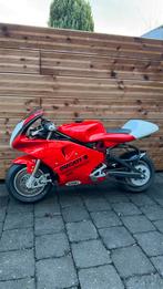 Mini moto grc polini, Enlèvement