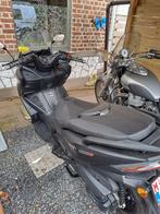 ****SUPERKOOPJE******Masch belena-300, Motoren, Motoren | Mash, Particulier